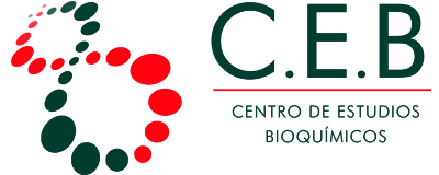 Laboratorio CEB LP - Digital Focus Marketing